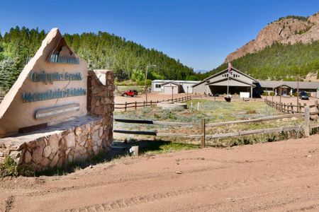 Professional Photography Services in Colorado