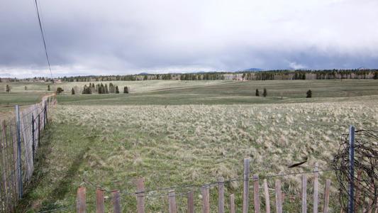 Professional Photography Services in Colorado