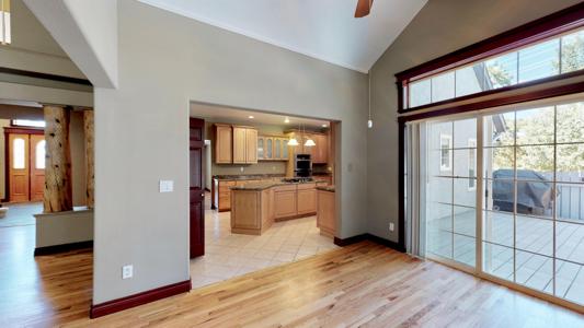 Professional Photography Services in Colorado