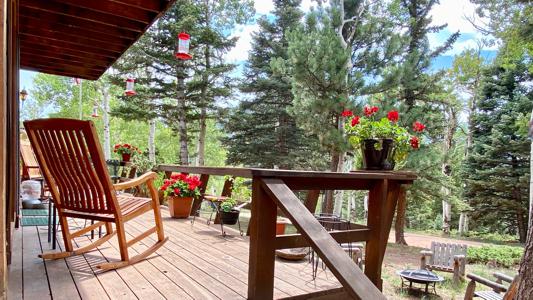 Professional Photography Services in Colorado