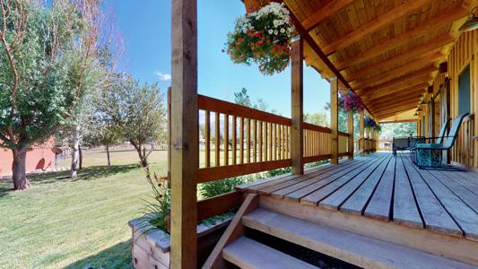 Professional Photography Services in Colorado