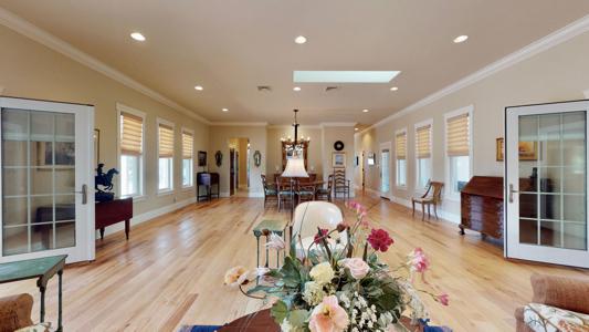 Professional Photography Services in Colorado