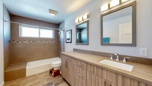 Professional Photography Services in Colorado