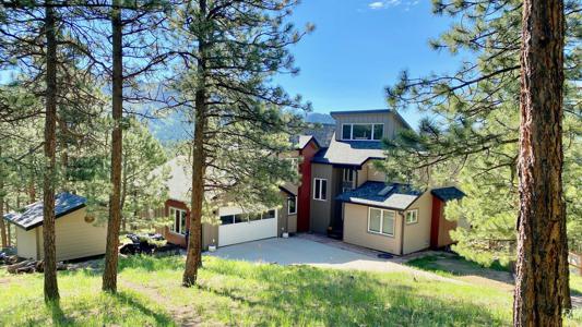 Professional Photography Services in Colorado