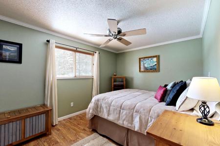 Professional Photography Services in Colorado