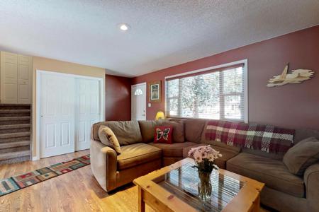 Professional Photography Services in Colorado