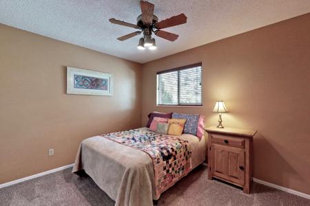 Professional Photography Services in Colorado