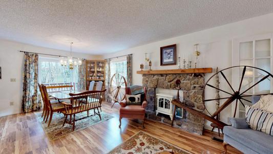 Professional Photography Services in Colorado