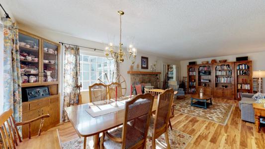 Professional Photography Services in Colorado