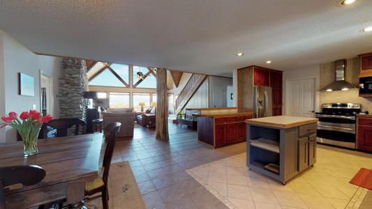 Professional Photography Services in Colorado